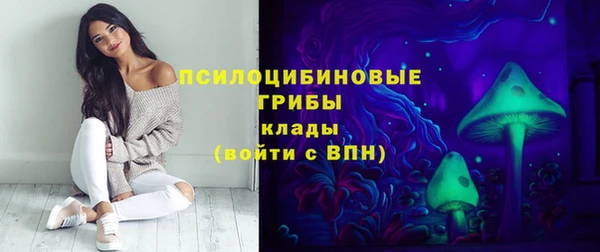 дурь Тутаев