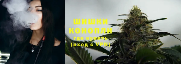 дурь Тутаев