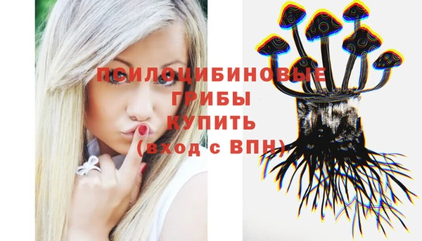 ALPHA-PVP Туринск