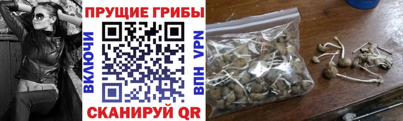 даркнет сайт  Чекалин  Галлюциногенные грибы мухоморы 